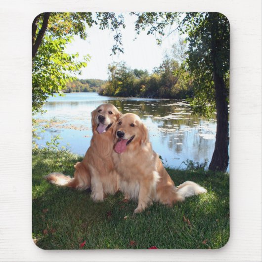 Golden retriever-Park und Fluss Mousepad (Vorne)