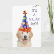 Golden Retriever Party Welpe Geburtstag