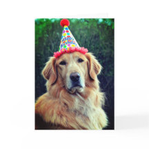 Golden Retriever & Partyhut mit Alles Gute zum Geb