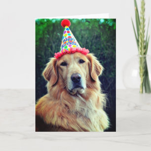 Golden Retriever & Partyhut mit Alles Gute zum Geb Karte