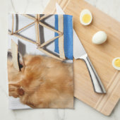 Golden retriever-PassahfestMatzo Geschirrtuch (Viertel Falte)