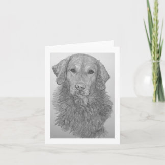 Golden Retriever Pencil Art Notecard Karte