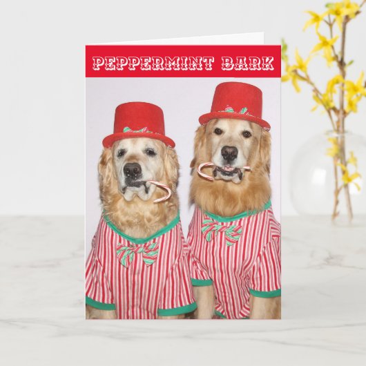 Golden Retriever Peppermint Bark Karte (Gelbe Blume)