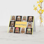 Golden Retriever Pessach Pest Karte (Gelbe Blume)