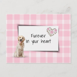 Golden Retriever Pet Beileid Loss Postkarte