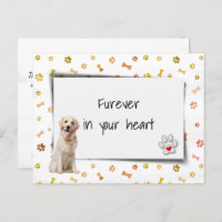 Golden Retriever Pet Beileid Loss