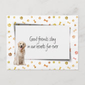 Golden Retriever Pet Beileid Loss Postkarte (Vorderseite)