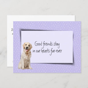 Golden Retriever Pet Loss aus dem Tierarzt Postkarte