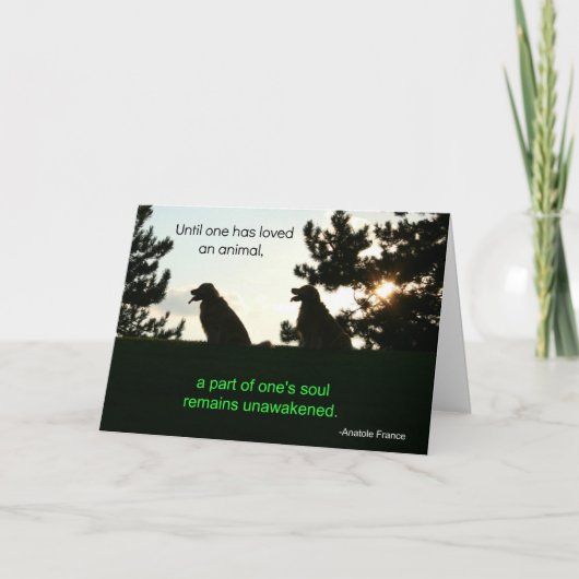 Golden Retriever Pet Sympathie Card Karte (Vorderseite)