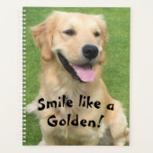 Golden Retriever Planer (Vorderseite)