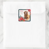 Golden Retriever Poinsettia Bouquet Weihnachten Quadratischer Aufkleber (Tasche)