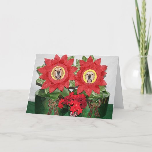 Golden retriever-Poinsettia-Feiertag Karte (Vorderseite)
