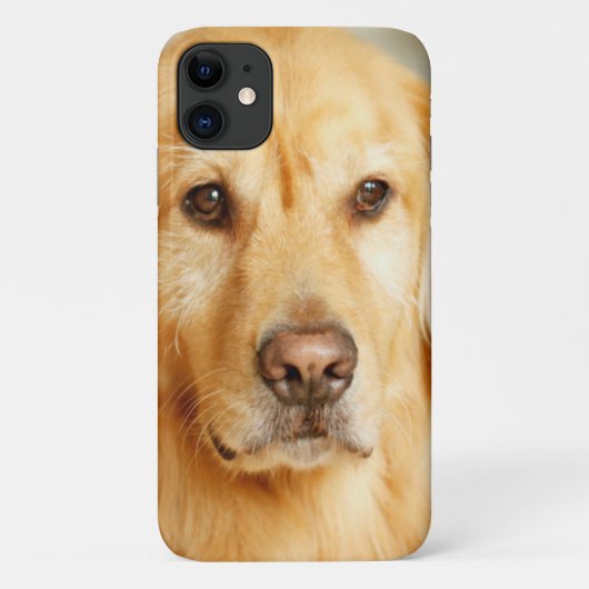 Golden Retriever Portrait Case-Mate iPhone Hülle (Rückseite)