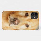 Golden Retriever Portrait Case-Mate iPhone Hülle (Rückseite (Horizontal))