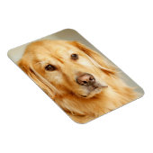 Golden Retriever Portrait Magnet (Rechte Seite)
