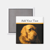 Golden Retriever Portrait Magnet (Vorderseite/Rückseite)