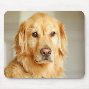 Golden Retriever Portrait Mousepad