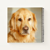 Golden Retriever Portrait Notizblock (Rückseite)