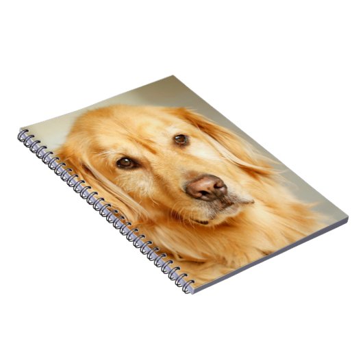 Golden Retriever Portrait Notizblock (Rechte Seite)