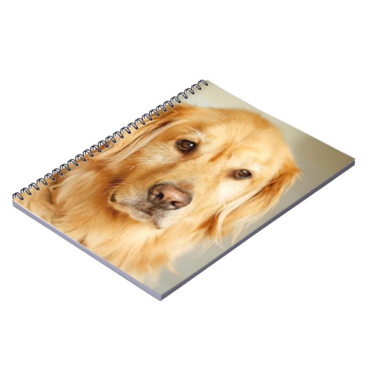 Golden Retriever Portrait Notizblock (Linke Seite)