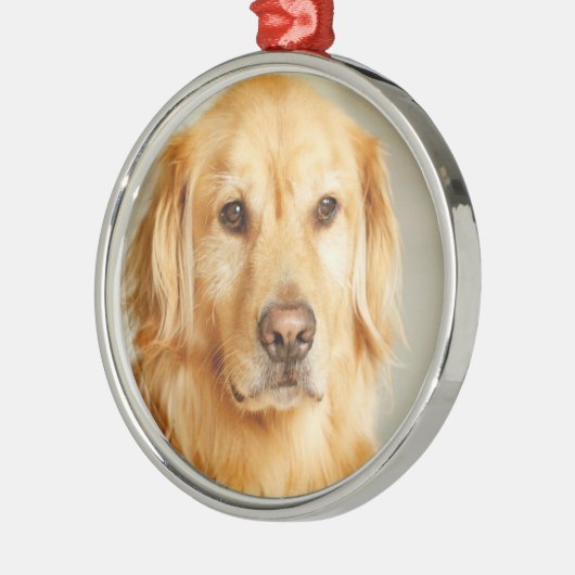 Golden Retriever Portrait Ornament Aus Metall (Links)