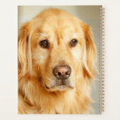 Golden Retriever Portrait Planer (Rückseite)