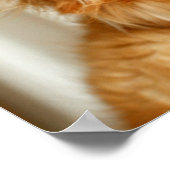 Golden Retriever Portrait Poster (Ecke)