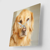 Golden Retriever Portrait Quadratische Wanduhr (Winkel)