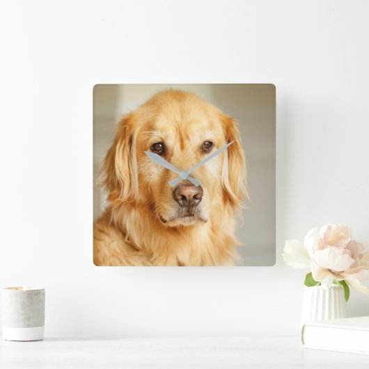 Golden Retriever Portrait Quadratische Wanduhr (Zuhause)