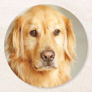 Golden Retriever Portrait Runder Pappuntersetzer