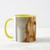 Golden Retriever Portrait Tasse (Links)