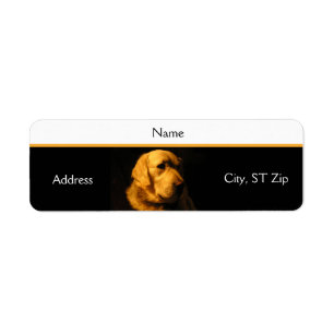 Golden retriever-Porträt-Adressen-Etikett
