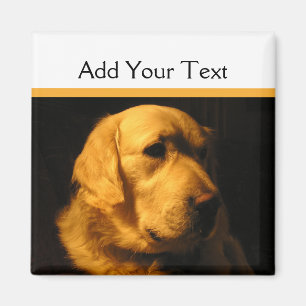 Golden retriever-Porträt-Magnet Magnet
