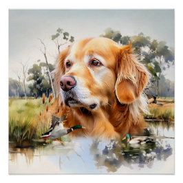 Golden Retriever Poster