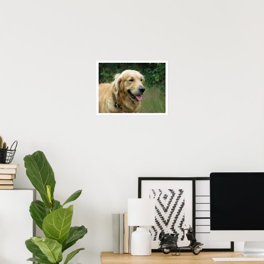Golden Retriever Poster (Heimbüro)