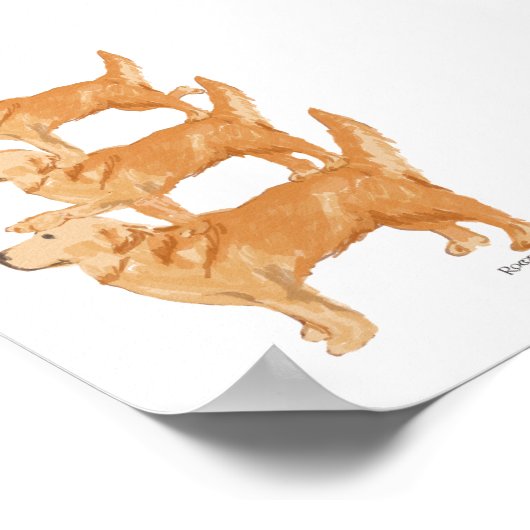 Golden Retriever Poster (Ecke)