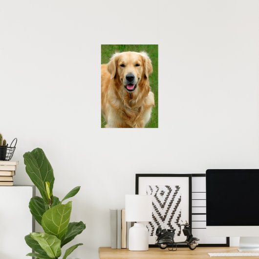 Golden Retriever Poster (Heimbüro)