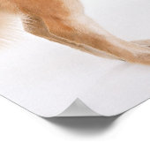 Golden Retriever Poster (Ecke)