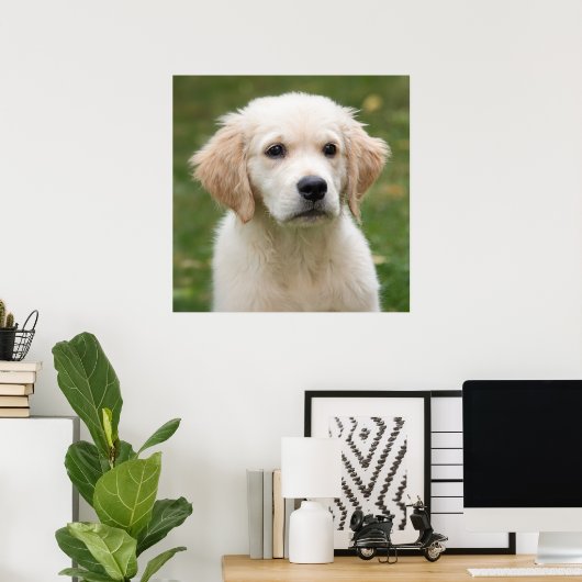 Golden Retriever Poster (Heimbüro)