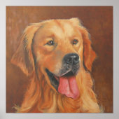 Golden Retriever Poster (Vorne)