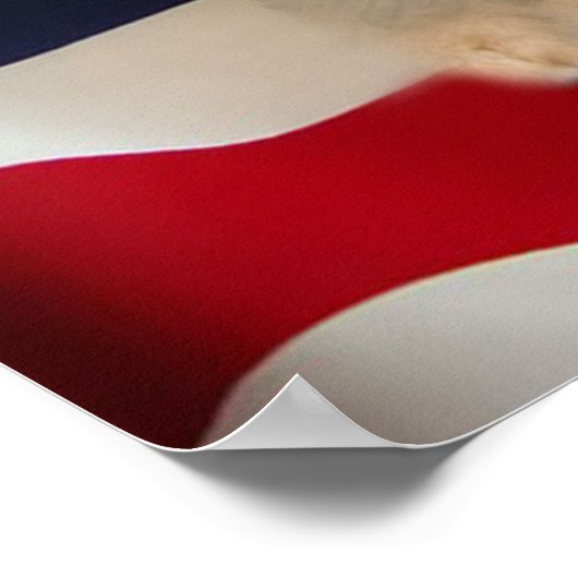 Golden Retriever Poster All American Puppy (Ecke)