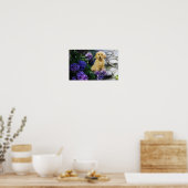 Golden Retriever Poster Hydrangea (Küche)