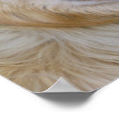 Golden Retriever Posters Poster (Ecke)