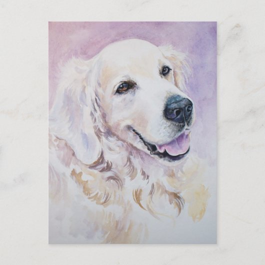 Golden Retriever Postkarte (Vorderseite)