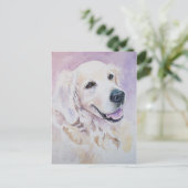 Golden Retriever Postkarte (Stehend Vorderseite)