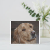 Golden Retriever Postkarte (Stehend Vorderseite)