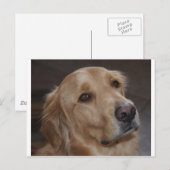 Golden Retriever Postkarte (Vorne/Hinten)