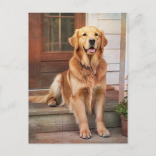 Golden Retriever Postkarte