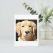 Golden Retriever Postkarte (Stehend Vorderseite)