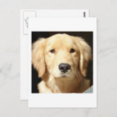 Golden Retriever Postkarte (Vorne/Hinten)